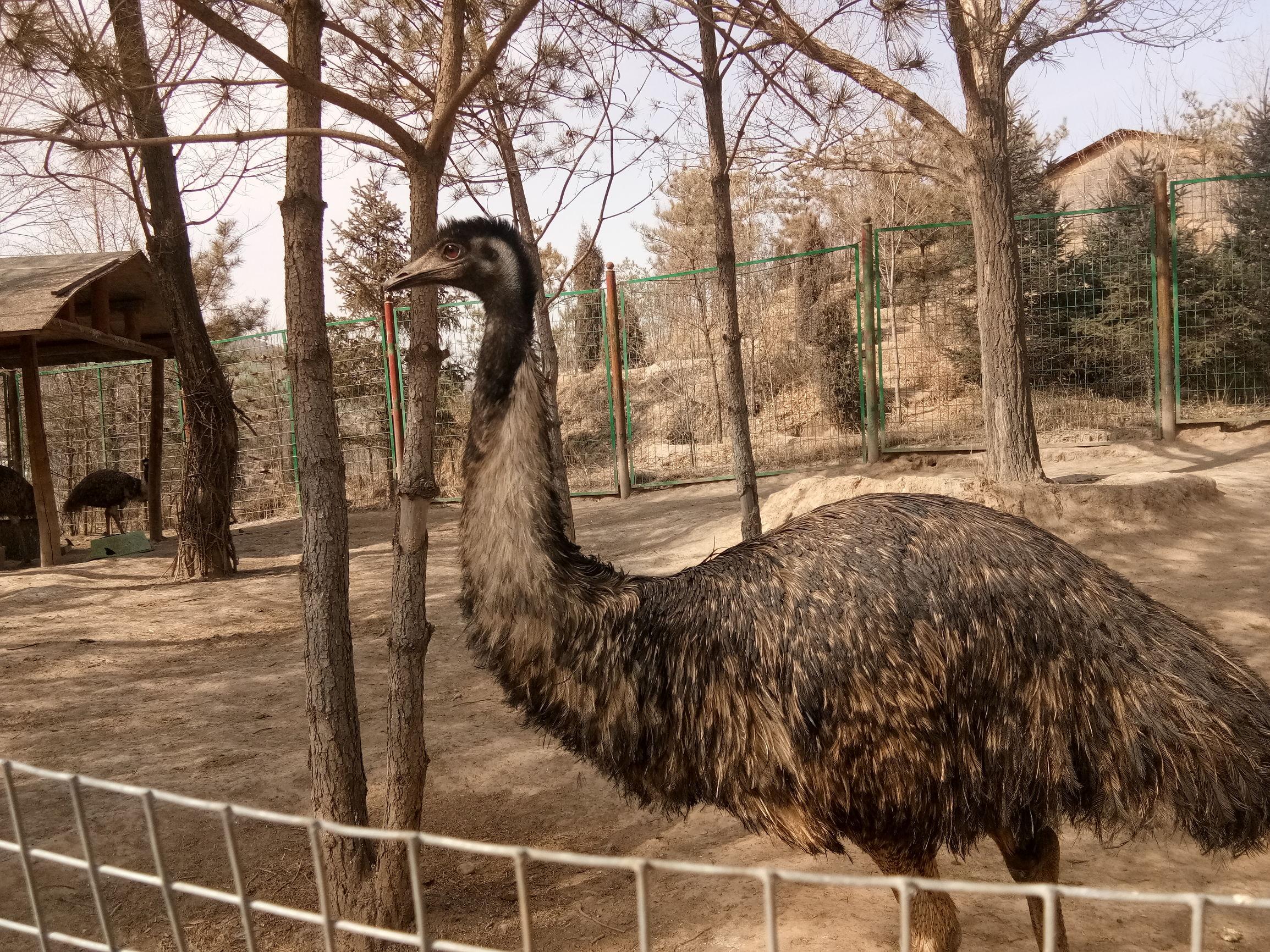 青海,西部明珠,高原瑰宝